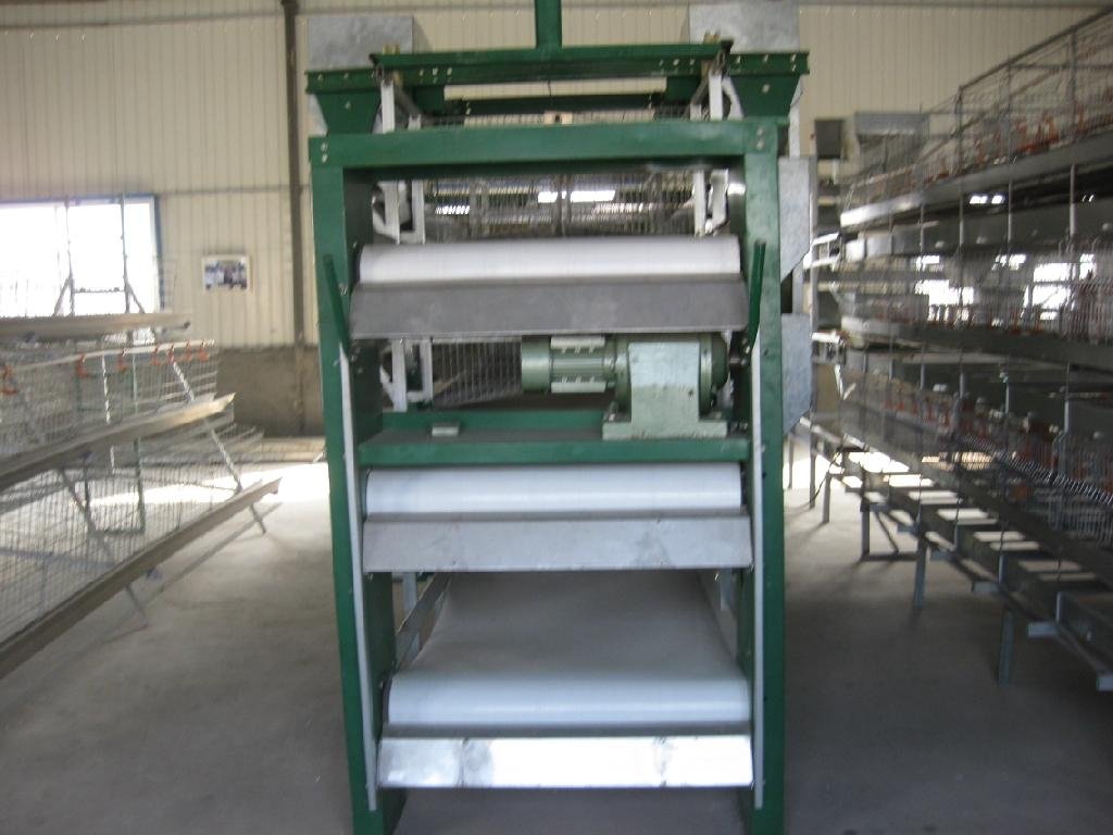 automatic broiler cage 5