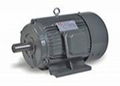 Y series three-phase asynchronous motor