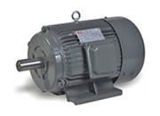 Y series three-phase asynchronous motor