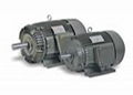 YT series three-phase asynchronous motor 1