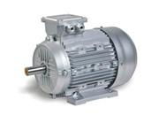 Ms aluminum series three-phase asynchronous motor