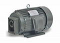 CBN Series oil pump motor