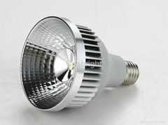 LED spot light par30