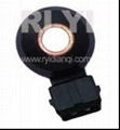 Knock Sensor 2206030P00