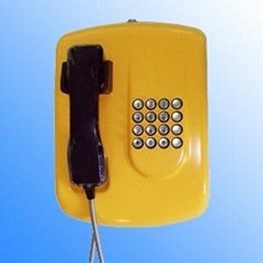 Auto dial phone