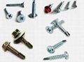 self drilling screw