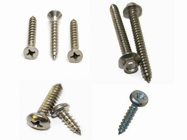 self tapping screw