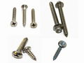 self tapping screw