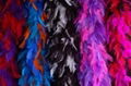 Feather Boa 2