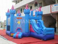 inflatable bouncer/inflatable house