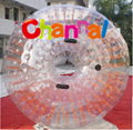 zorb ball