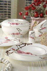 46 piece hand-painted fine bone china dinnerware set