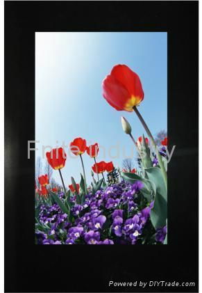 Fnite 22 inch vertical lcd advertising player