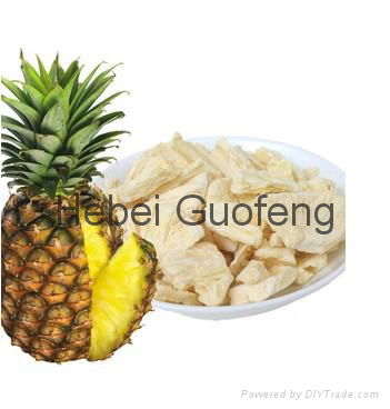 Freeze dried pineapple slice