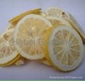 Freeze dried lemon slice
