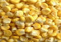 Freeze dried sweet corn