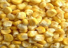 Freeze dried sweet corn