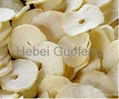 Freeze dried garlic slice 2