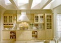 Fashion Living Kitchen Element  2