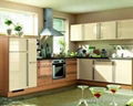 Fashion Living Kitchen Element  3