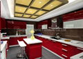 Lacquer Kitchen Cabinet 1