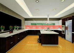 lacquer kitchen cabinet