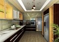 lacquer kitchen cabinet 2