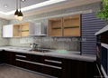 lacquer kitchen cabinet 3