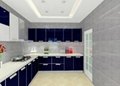 UV Kitchen Cabinet
