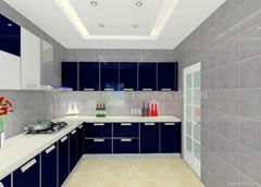 UV Kitchen Cabinet