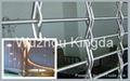 Metal Decorative Wire Mesh-2 4