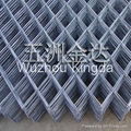 Expanded Wire Fence 4