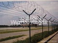 Razor Barbed Wire Mesh  3