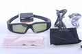 3D  monitor  glasses 1