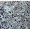 Granite tile 5