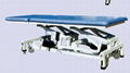 Electric Lifting PT Training Bed