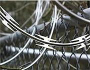 Razor barbed wire  2