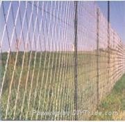 Razor Wire Mesh Fencing 4