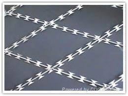 Welded Razor Wire Mesh 