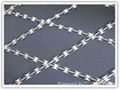 Welded Razor Wire Mesh  1