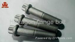 Hexagon flange bolt