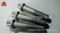 Hexagon flange bolt