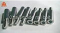 Chain guide rail bolt