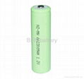 Ni-MH/Ni-CD AA&AAA Rechargeable consumer batteries 1