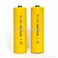 Ni-MH/Ni-CD AA&AAA Rechargeable consumer batteries 5