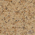 Engineered Quartz Countertop 4