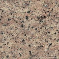 Engineered Quartz Countertop 5