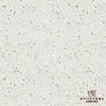 Engineered Quartz Countertop 3