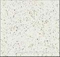 Artificial Quartz Kitchen Countertop 2