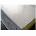  steel sandwich panel 3